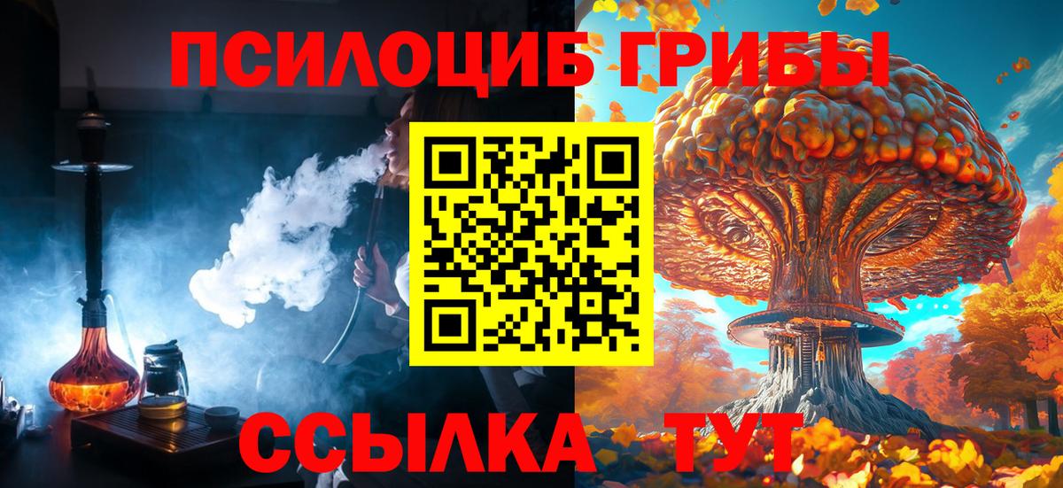 Галлюциногенные грибы Psilocybe Липецк